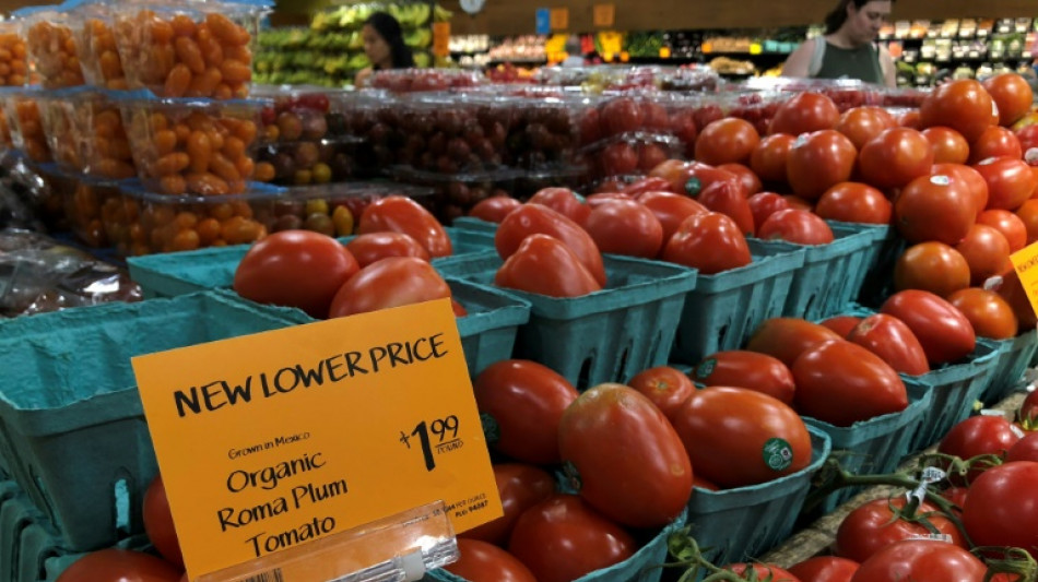 EEUU impone arancel del 17% a tomates de M&eacute;xico, que tacha de "injusta" la decisi&oacute;n
