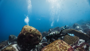 Au large de Mad&egrave;re, des scientifiques sur le front de la protection des oc&eacute;ans