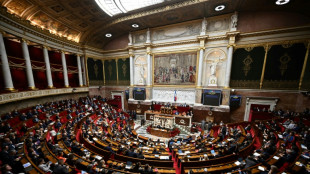 Feu vert des d&eacute;put&eacute;s &agrave; une hausse des cr&eacute;dits du minist&egrave;re de l'Int&eacute;rieur