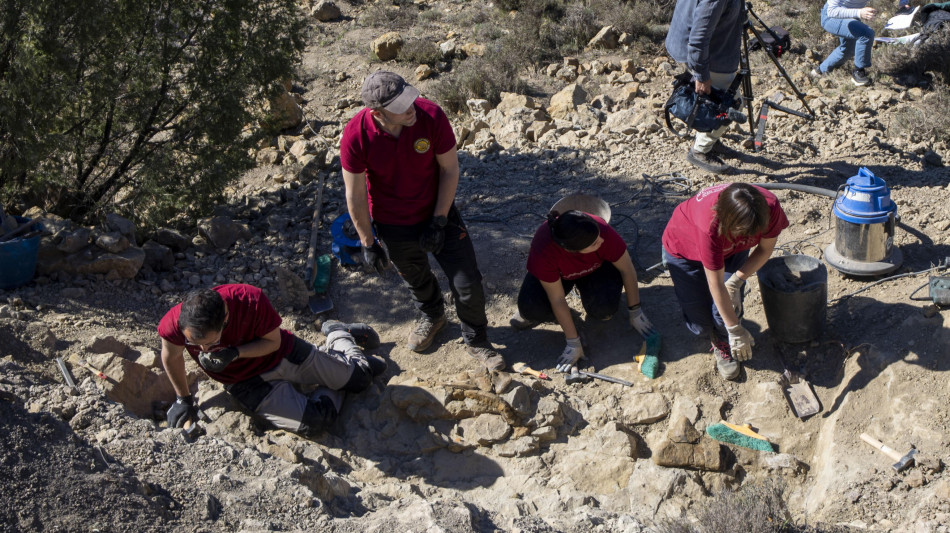 La più antica impronta di un rettile riscrive l'evoluzione