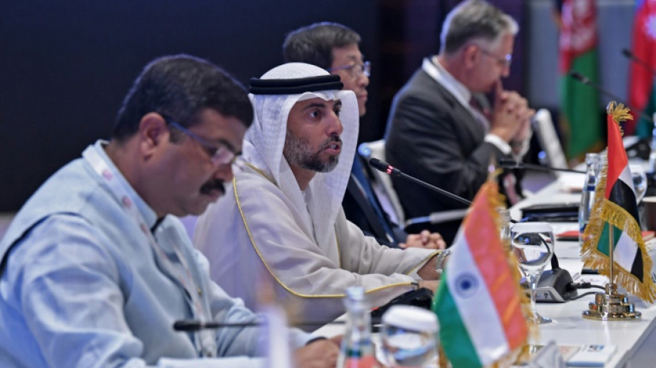 Emiratos Árabes reitera su compromiso con la OPEP+