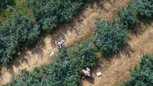 China's 'new farmers' learn to livestream in rural revitalisation