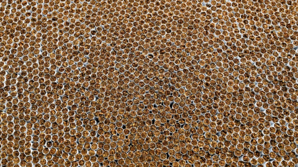 Illegale Zigarettenherstellung in Nordrhein-Westfalen: 19 Angeklagte vor Gericht