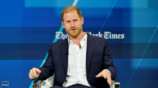 Royaume-Uni: nouvelle tentative du prince Harry pour récupérer sa protection policière