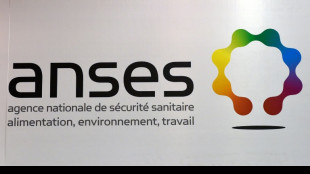 Enc&eacute;phalite &agrave; tiques: les cas risquent d'augmenter en France