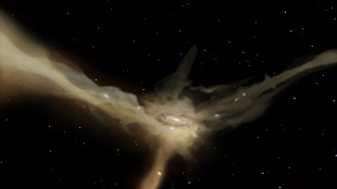 Scoperta una galassia fossile immutata da 7 miliardi di anni