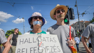 Tausende Menschen demonstrieren in Ungarn gegen geplantes Medien- und NGO-Gesetz