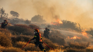 La Grèce et la Turquie luttent contre les incendies qui ont déjà fait deux morts