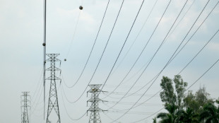 El presidente de Ecuador anuncia que Colombia reanuda la venta de electricidad