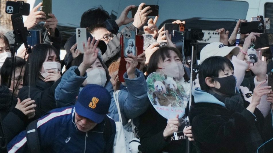 Les pandas de Tokyo partent pour la Chine apr&egrave;s les adieux de centaines d'admirateurs