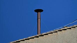 Vatican: la cheminée sur la chapelle Sixtine installée en vue du conclave