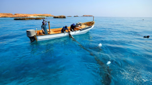 Des plongeurs volontaires, sentinelles de l'unique r&eacute;cif corallien d'Oman
