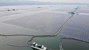 La COP28, un "moment de v&eacute;rit&eacute;" pour l'industrie du gaz et du p&eacute;trole, selon l'AIE