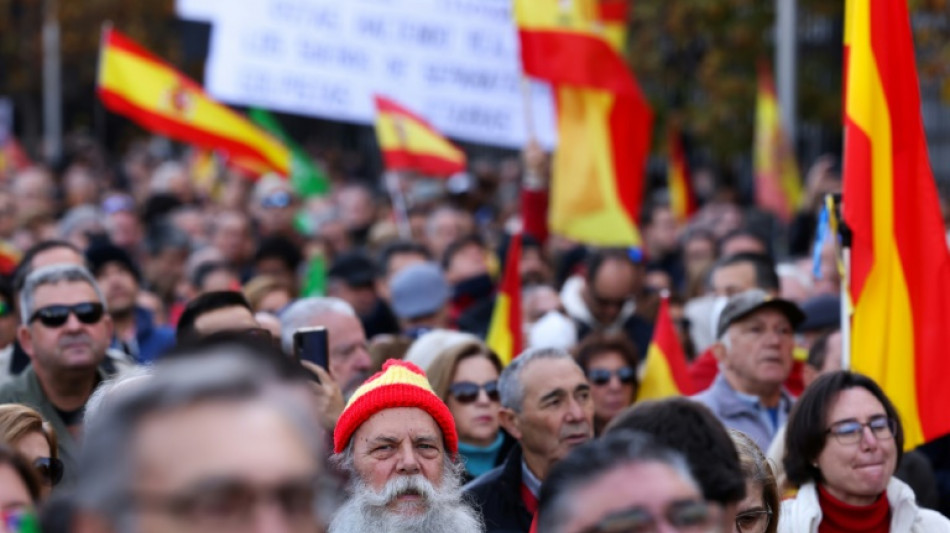Miles de simpatizantes de ultraderecha protestan contra el gobierno en Espa&ntilde;a