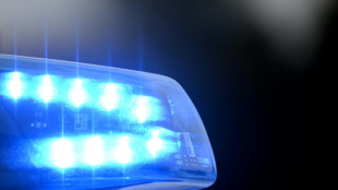 Bundesweit in Silvesternacht mehr als 280 Angriffe auf Polizei und Feuerwehr