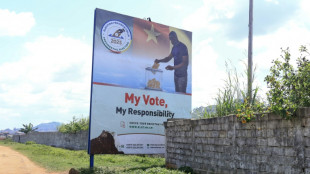 Incumbent absent as Cameroon presidential campaigning picks up