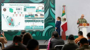 M&eacute;xico mobilizar&aacute; quase 100 mil agentes de seguran&ccedil;a para a Copa do Mundo