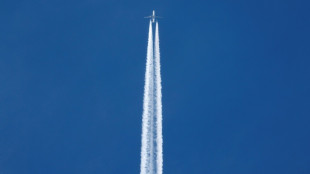 Slash airline emissions to meet Paris targets: report