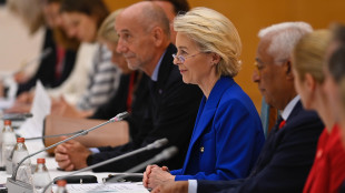 Von der Leyen,'alleanza con Paesi Cptpp per riformare Wto'