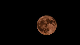 Luna, segni di corrosione sui moduli per la stazione orbitante Gateway