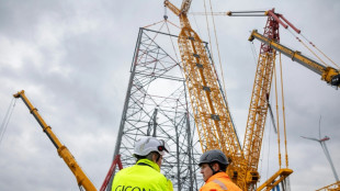 Dans l'est de Allemagne, une gigantesque &eacute;olienne et le vent contraire de l'extr&ecirc;me droite