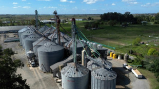 In Argentine farm town, Milei mania fizzles