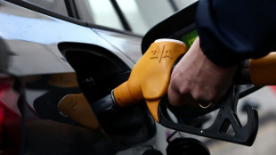 Tankrabatt senkt Inflation im Mai - Lebensmittelpreise kaum gestiegen