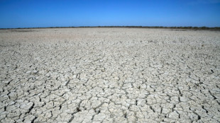 Espanha aprova pacote de medidas de &euro; 2 bilh&otilde;es contra seca