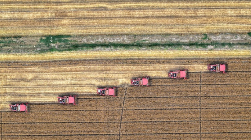 Climate change could cut crop yields up to a quarter