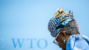 L'OMC &eacute;voque l'avenir du commerce mondial &agrave; Yaound&eacute; sur fonds de tensions au Moyen-Orient