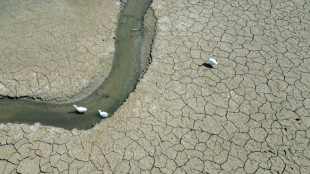 NGOs kritisieren Ergebnisse von Klimazwischenverhandlungen in Bonn als unzureichend