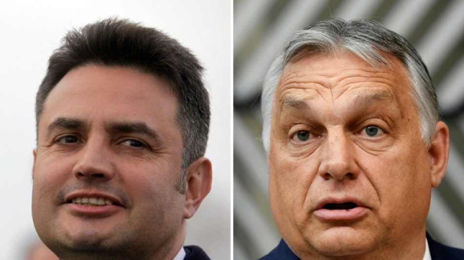 La Hongrie vote, Orban en qu&ecirc;te d'un quatri&egrave;me mandat