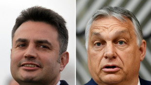La Hongrie vote, Orban en qu&ecirc;te d'un quatri&egrave;me mandat