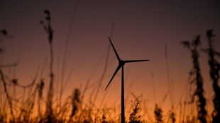 Gr&uuml;ne und Verb&auml;nde warnen Reiche vor einem Abw&uuml;rgen der Energiewende