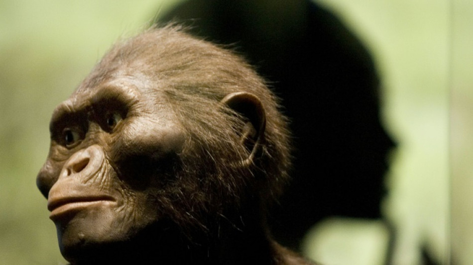 "Regarder nos anc&ecirc;tres en face": un g&eacute;n&eacute;ticien raconte l'histoire de l'humanit&eacute; en photos 