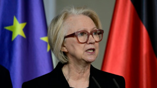 Deutsch-franz&ouml;sische Experten: EU muss bereit zu harter Antwort auf US-Z&ouml;lle sein