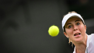 Wimbledon line-calling tech malfunctions 