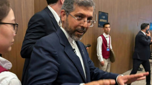 No date set for next round of Iran-US talks: Iran deputy FM 