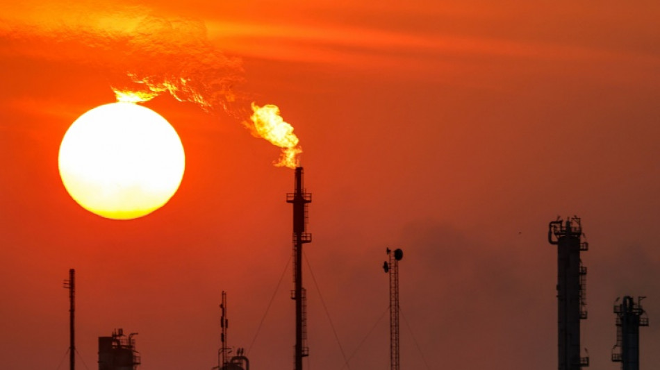 P&eacute;trole: Ryad et ses alli&eacute;s persistent et signent en dopant leur production 