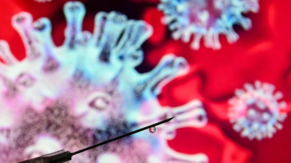 Origines du Covid: les d&eacute;bats s'&eacute;chauffent &agrave; nouveau