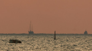Isra&euml;l: les militants du bateau pour Gaza transf&eacute;r&eacute;s &agrave; l'a&eacute;roport pour &ecirc;tre rapatri&eacute;s