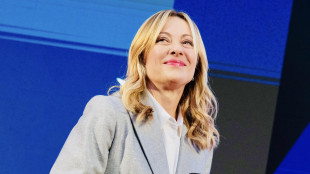 Meloni luned&igrave; a Berlino per l'incontro fra Zelensky e leader europei