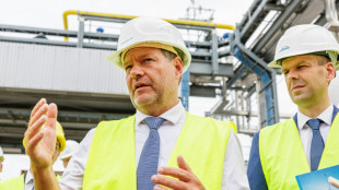 Un embargo de la UE al petr&oacute;leo ruso, posible "dentro de unos d&iacute;as" (ministro alem&aacute;n)