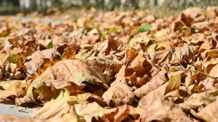 Francia registr&oacute; en 2025 uno de los a&ntilde;os m&aacute;s c&aacute;lidos