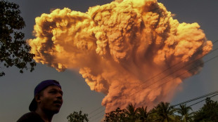 Indonesia volcano spews colossal ash tower, alert level raised