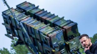 Dutch are first to buy US arms for Ukraine under NATO scheme