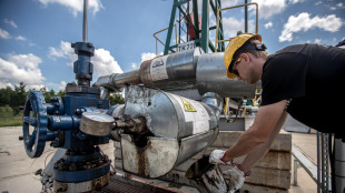 Il petrolio chiude in rialzo a New York a 66,43 dollari