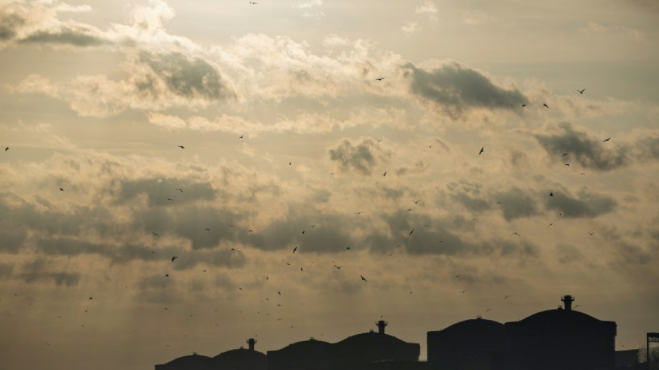 Programmation de l'énergie: l'Assemblée n'entend pas être court-circuitée