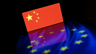 Face &agrave; la d&eacute;ferlante chinoise, les Europ&eacute;ens cherchent la parade
