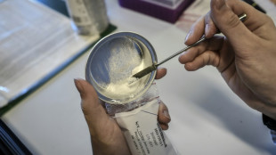 Drogues: plus d'un million d'usagers de coca&iuml;ne en France en 2023